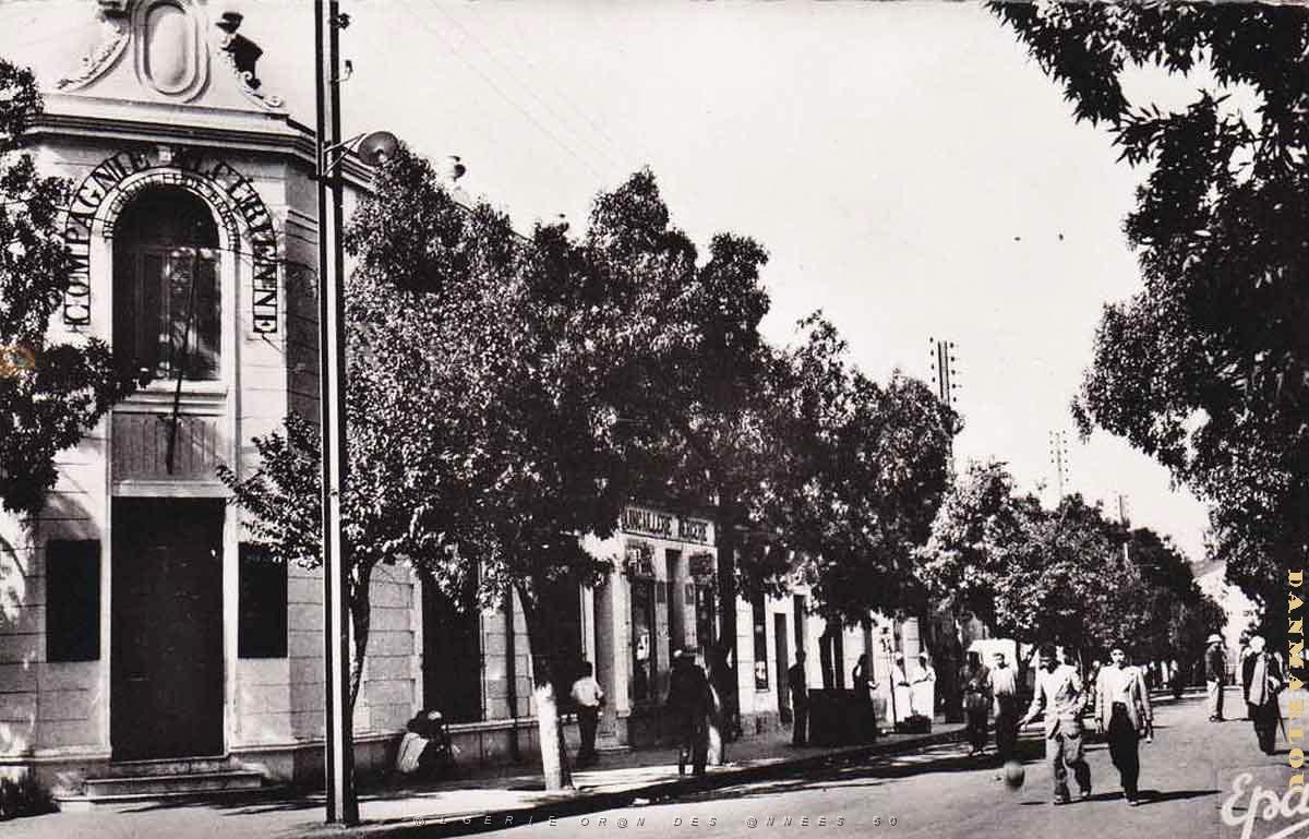 Vialar 602.jpg